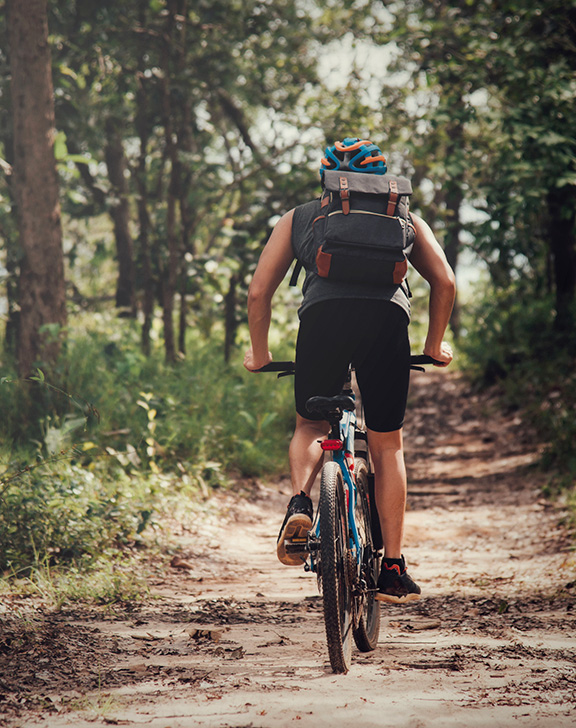 Bike Tour