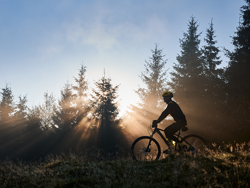 Bike Tour